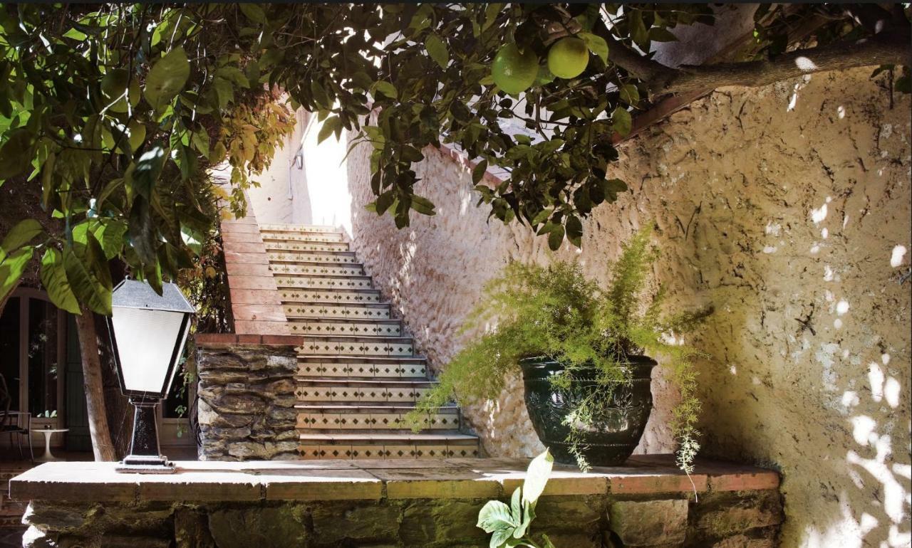 Le Mas Des Citronniers Collioure Exterior foto