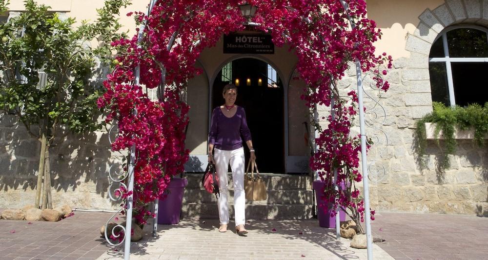 Le Mas Des Citronniers Collioure Exterior foto